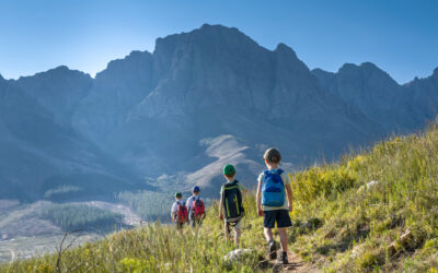 PEAK: Parenting to Empower Anxious Kids (Online Course)